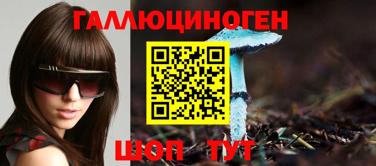 Псилоцибиновые грибы Cubensis  Вход с VPN  Обь 